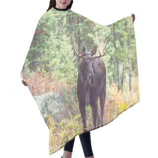 Personality  Wild Brown Moose Hair Cutting Cape