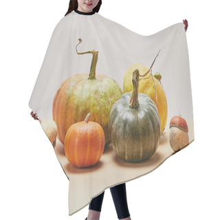 Personality  Autumnal Harvest Of Different Colored Pumpkins On Beige Tabletop Hair Cutting Cape