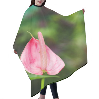 Personality  Pink Arum Lily Hair Cutting Cape