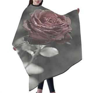 Personality  Dark Red Rose Hair Cutting Cape