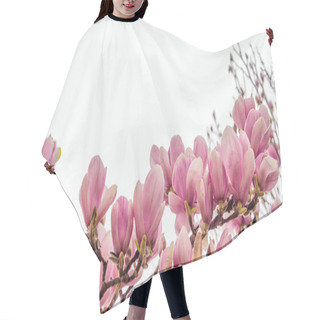 Personality  Magnolia Flowers In Spring Season Hair Cutting Cape