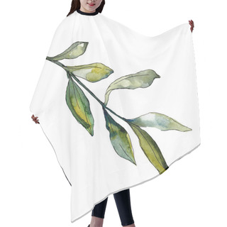 Personality  Olive Leaves Illustration Set. Watercolour Drawing Fashion Aquarelle.  Hair Cutting Cape