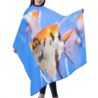 Personality  Aquarium Fish Hair Cutting Cape