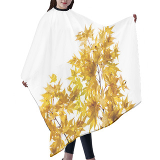 Personality  Fullmoon Maple, Twigs And Leaves Hair Cutting Cape