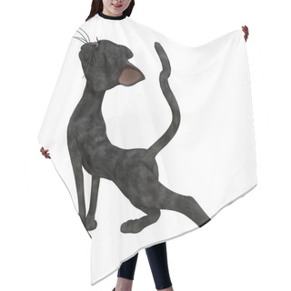 Personality  3D Cartoon Style Black Cat With Green Eyes. Ideal A Wide Range Of Design Uses But Particularly Suited To Cozy Witch Mystery Book Cover Art And Design. One Of A Series. Isolated On A White Background. Hair Cutting Cape