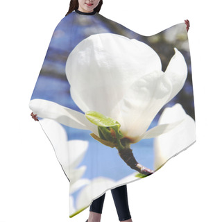 Personality  Magnolia Hair Cutting Cape