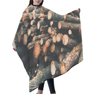 Personality  Close Up Of Stacked Wooden Logs In Autumn Forest Hair Cutting Cape