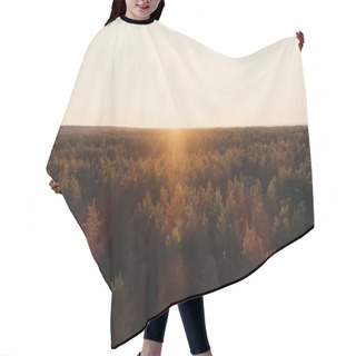 Personality  Aerial View Of Tees In Forest And Sunset Sky At Background  Hair Cutting Cape
