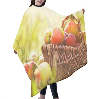 Personality  Organic Apples In Summer Grass Hair Cutting Cape