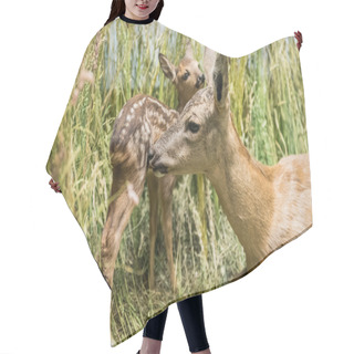 Personality  Close Up Of A Deer Family Hair Cutting Cape