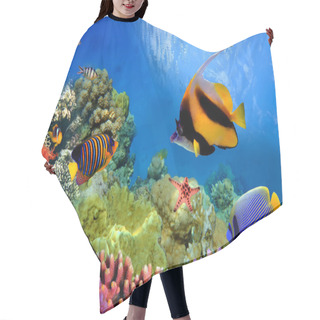 Personality  Marine Life On The Coral Reef Hair Cutting Cape