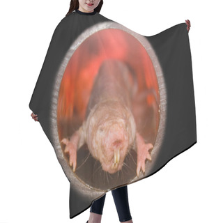 Personality  Naked Mole Rat Hair Cutting Cape