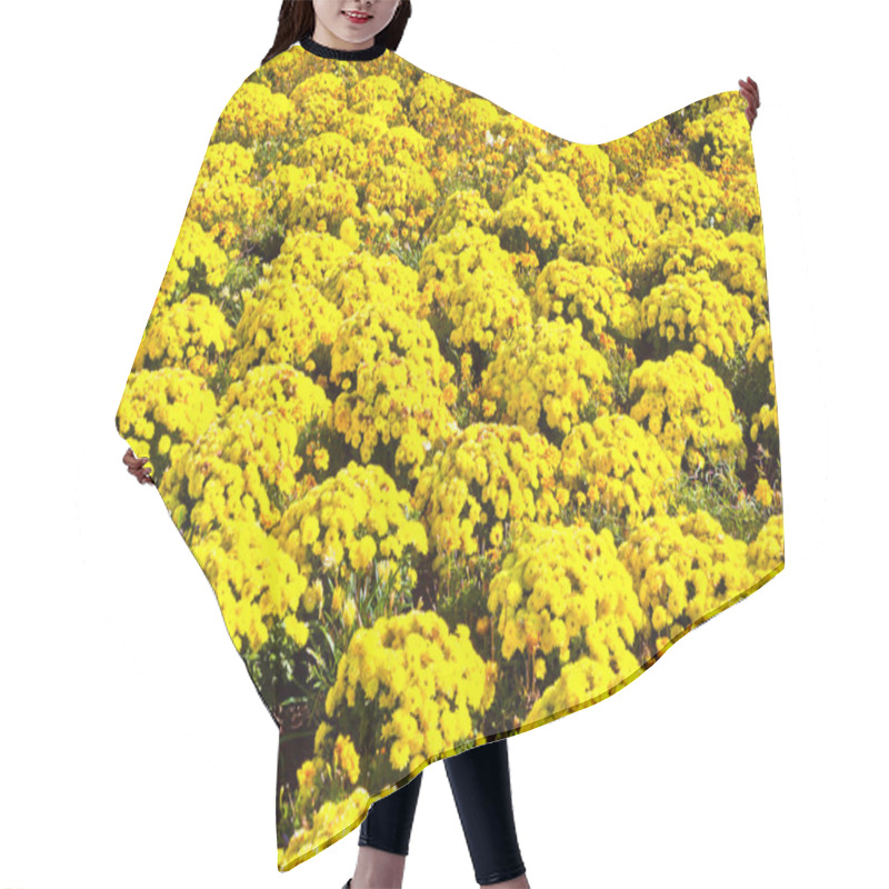 Personality  Beautiful Marigold Arranged In A Flower Bed Hair Cutting Cape
