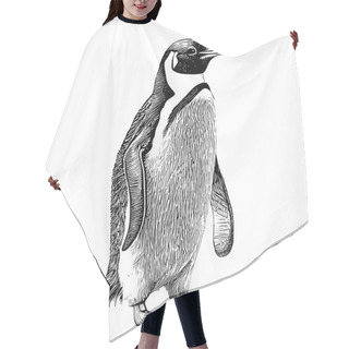 Personality  Penguin Sketch Hand Drawn In Engraving Style Sea Animals Vector Illustration. Hair Cutting Cape