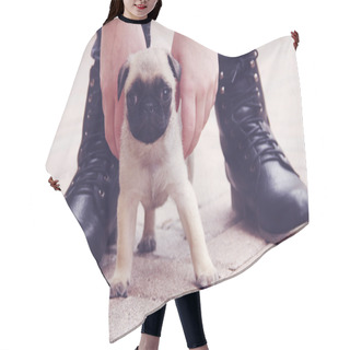 Personality  Pug Puppy Outside Shoes Hair Cutting Cape