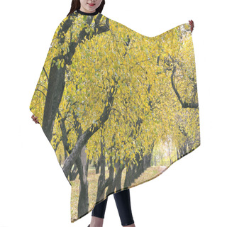 Personality  Autumn Apple Orchard Hair Cutting Cape