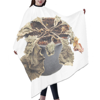 Personality  Wither Plant Hair Cutting Cape