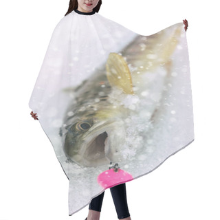 Personality  Trout Caught Lure Winter. Hair Cutting Cape