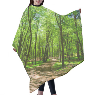 Personality  Hike Path Through A Forest In Spring, Young Green Foliage Hair Cutting Cape