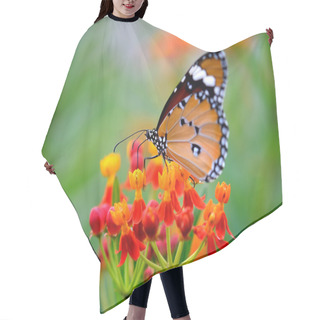 Personality  Butterfly On Orange Flower In The Garden Hair Cutting Cape