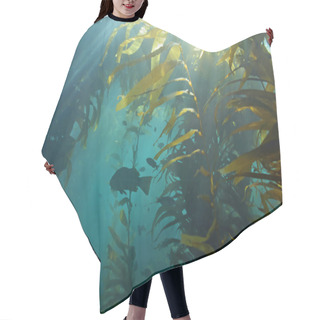Personality  Beach Seaweed Kelp Forest Underwater At Catalina Island, California Hair Cutting Cape