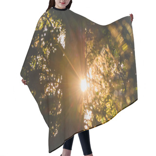 Personality  Burst Of Light Hair Cutting Cape