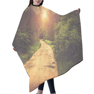 Personality  Path In The Forest Hair Cutting Cape
