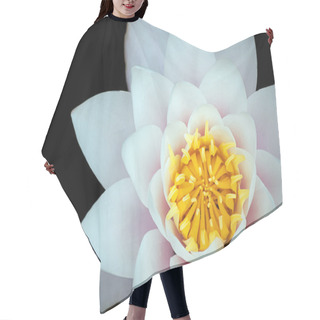 Personality  White Lotus Flower Hair Cutting Cape