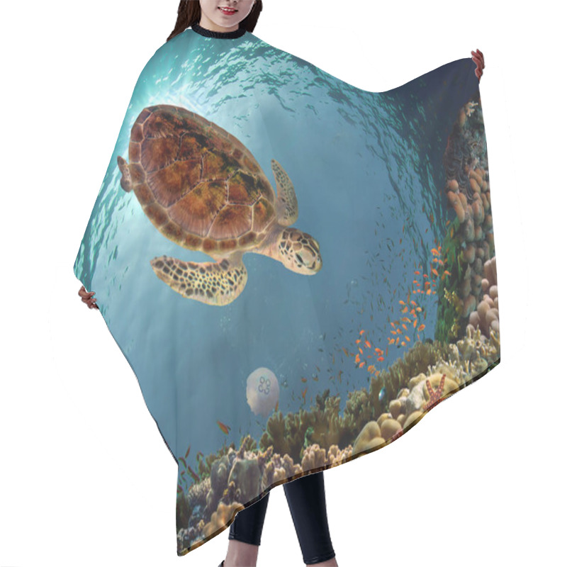 Personality  Close-up Hawksbill Sea Turtle Underwater By Colorful Coral Hair Cutting Cape