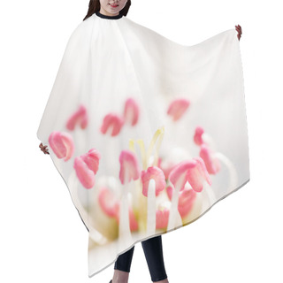 Personality  Flower Of Pear Tree Hair Cutting Cape