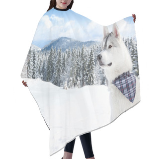 Personality  Husky On White Snow Background Hair Cutting Cape