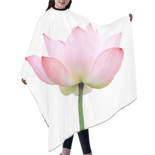 Personality  Isolated Lotus Hair Cutting Cape