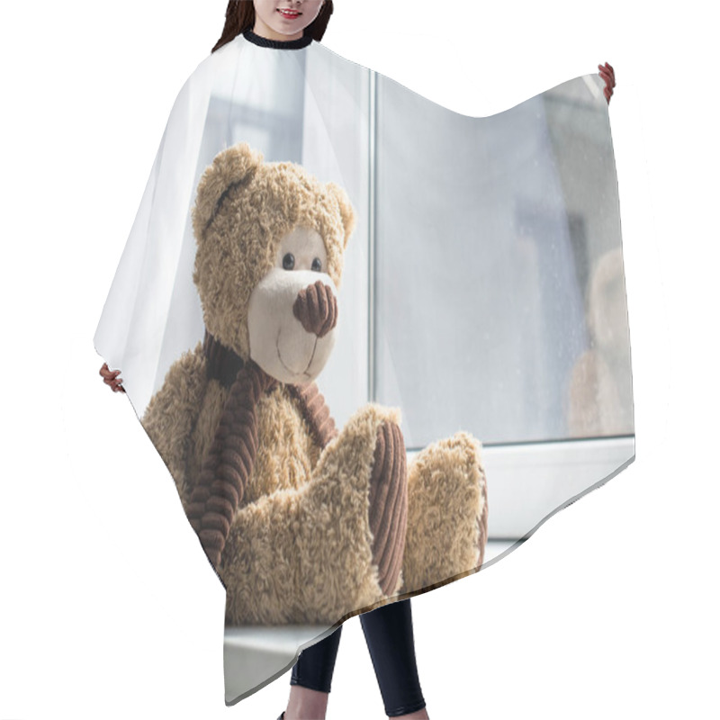 Personality  close up view of cute teddy bear on window sill  hair cutting cape