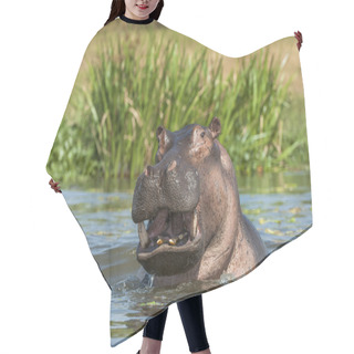 Personality  Yawning Common Hippopotamus In Water Hair Cutting Cape