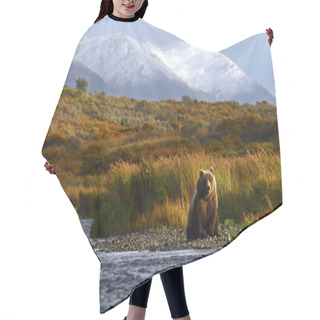 Personality  Kodiak Brown Bear Hair Cutting Cape