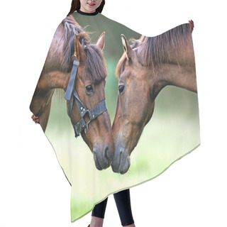 Personality  Horse On A Pasture Hair Cutting Cape