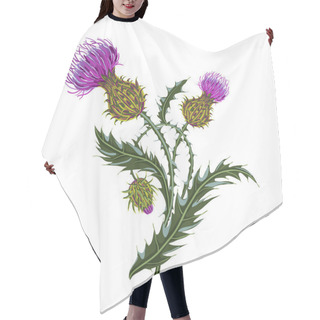 Personality  Hand Drawn Composition Of A Thistle Flower. Milk Thistle Isolated On White. Hair Cutting Cape