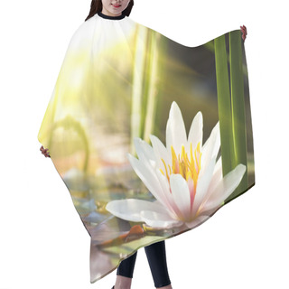 Personality  Water Lily Hair Cutting Cape