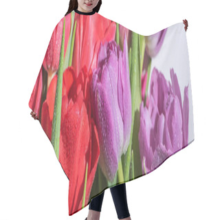 Personality  Bouquet Of Colorful Spring Tulips With Water Drops On White Background, Panoramic Shot Hair Cutting Cape