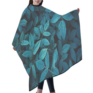 Personality  Trend Dark Blue Background With Leaves. Plant In Shadow. Copyspace For Design Hair Cutting Cape