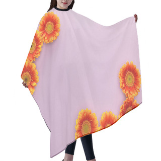 Personality  Top View Of Orange Gerbera Flowers On Violet Background With Copy Space Hair Cutting Cape