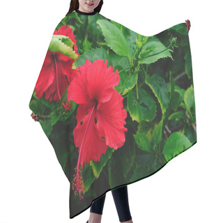 Personality  Tropical Flowers Hair Cutting Cape
