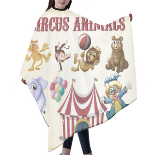 Personality  Circus Animals Hair Cutting Cape