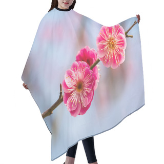 Personality  Two Red Plum Flowers Hair Cutting Cape
