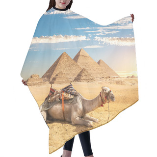 Personality  Camel Near Pyramids Hair Cutting Cape