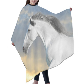 Personality  White Horse In Motion With Sky Behind Hair Cutting Cape