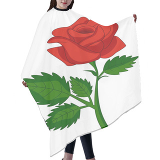 Personality  Illustration Of Red Rose Cartoon Hair Cutting Cape