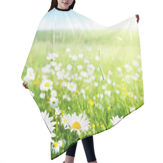 Personality  Field Of Daisy Flowers Hair Cutting Cape