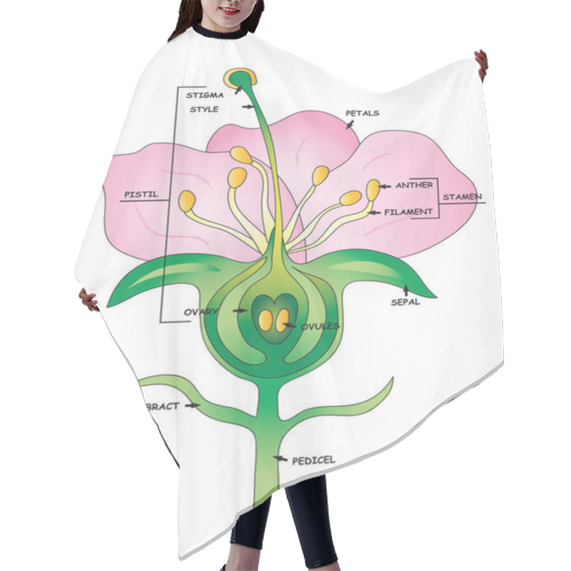 Personality  Parts of a pink flower for school hair cutting cape