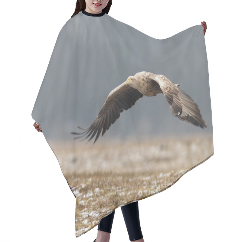 Personality  White Tailed Eagle  Hair Cutting Cape